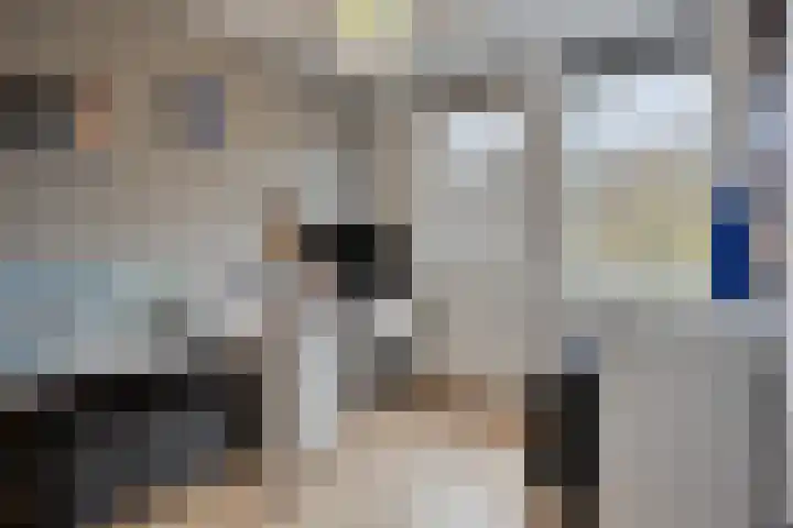 Dagpauwoog 5 Oosterhout thumbnail 18