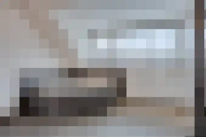 Dagpauwoog 5 Oosterhout thumbnail 26