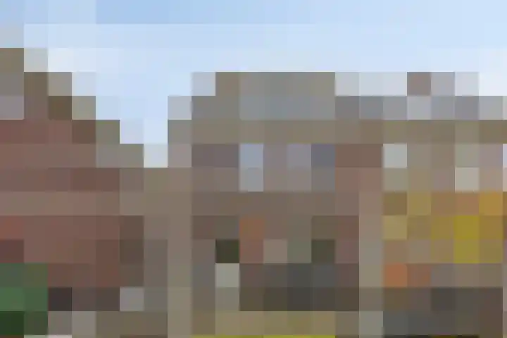 Dagpauwoog 5 Oosterhout thumbnail 28