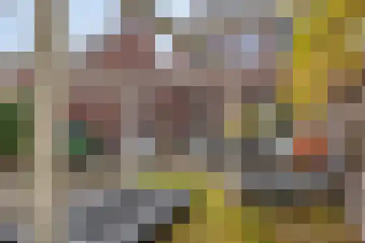 Dagpauwoog 5 Oosterhout thumbnail 29
