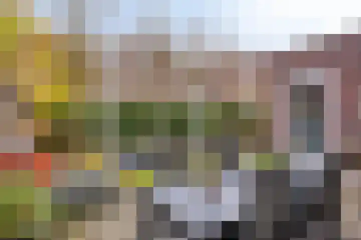 Dagpauwoog 5 Oosterhout thumbnail 30