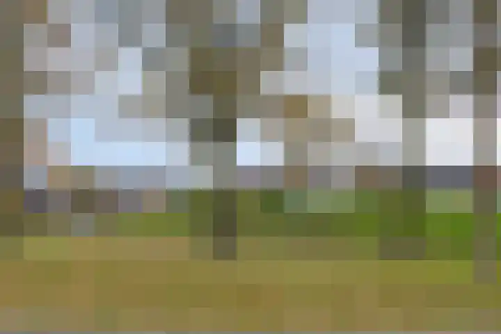 Dagpauwoog 5 Oosterhout thumbnail 31