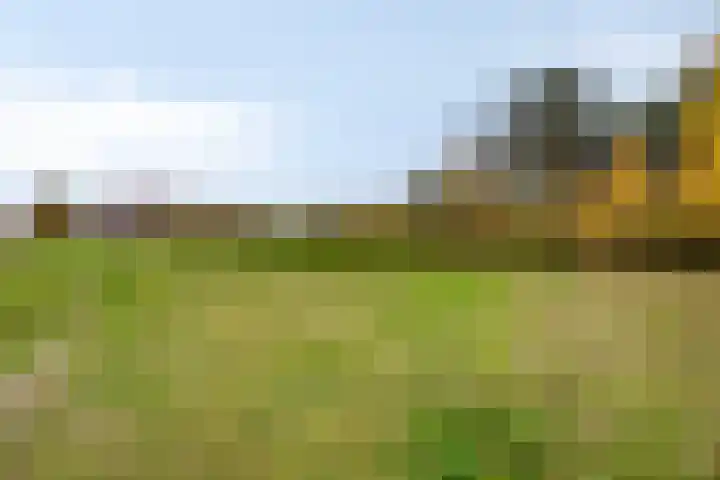 Dagpauwoog 5 Oosterhout thumbnail 32