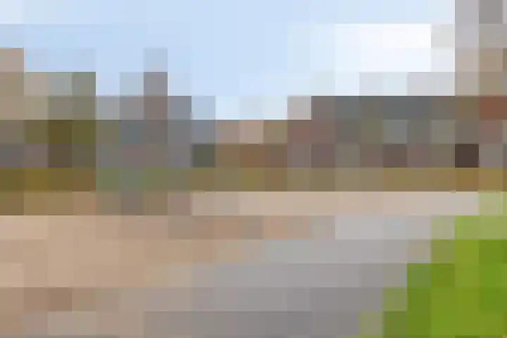 Dagpauwoog 5 Oosterhout thumbnail 33