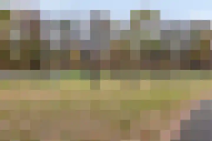 Dagpauwoog 5 Oosterhout thumbnail 34