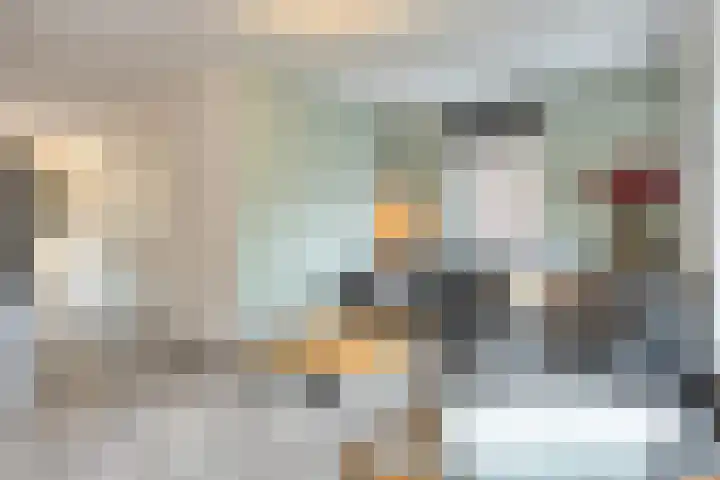 Dagpauwoog 5 Oosterhout thumbnail 8
