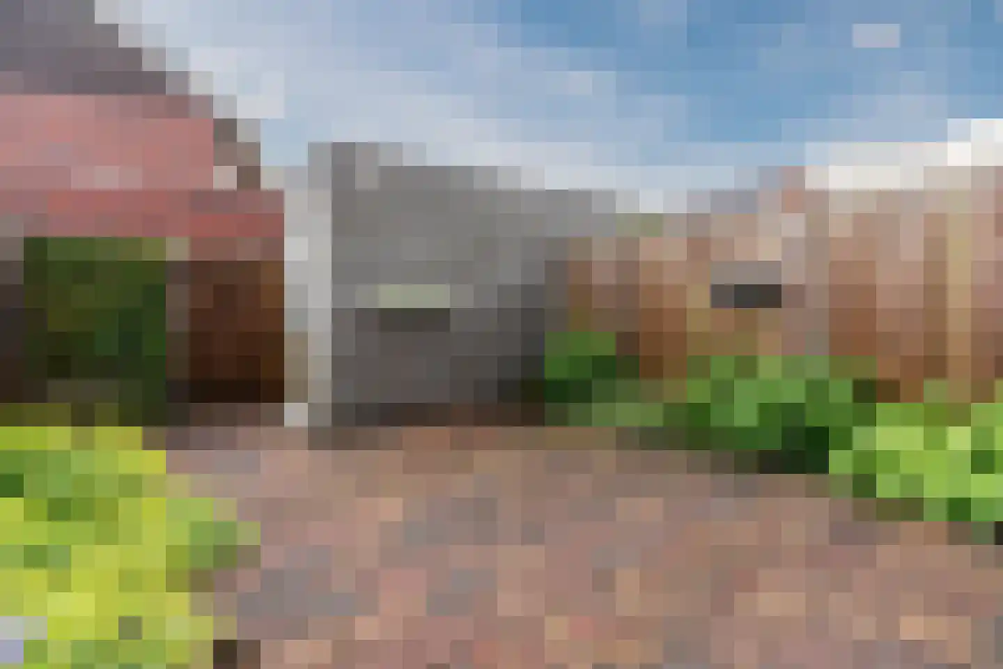 Dagpauwoog 50 Nieuwleusen thumbnail 33