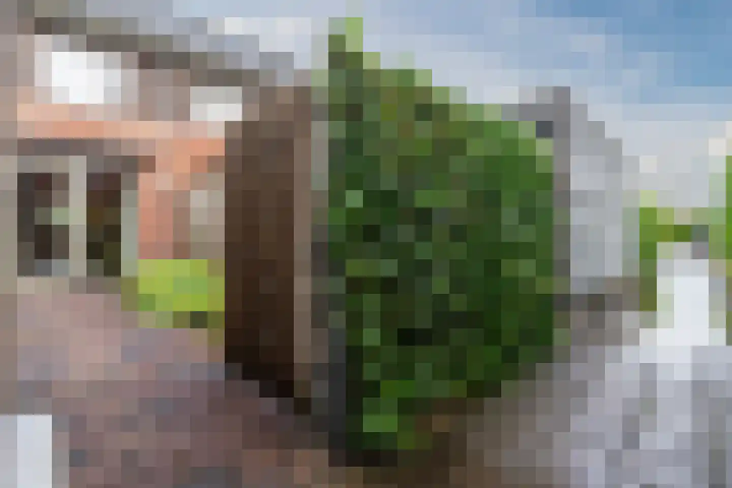 Dagpauwoog 50 Nieuwleusen thumbnail 34