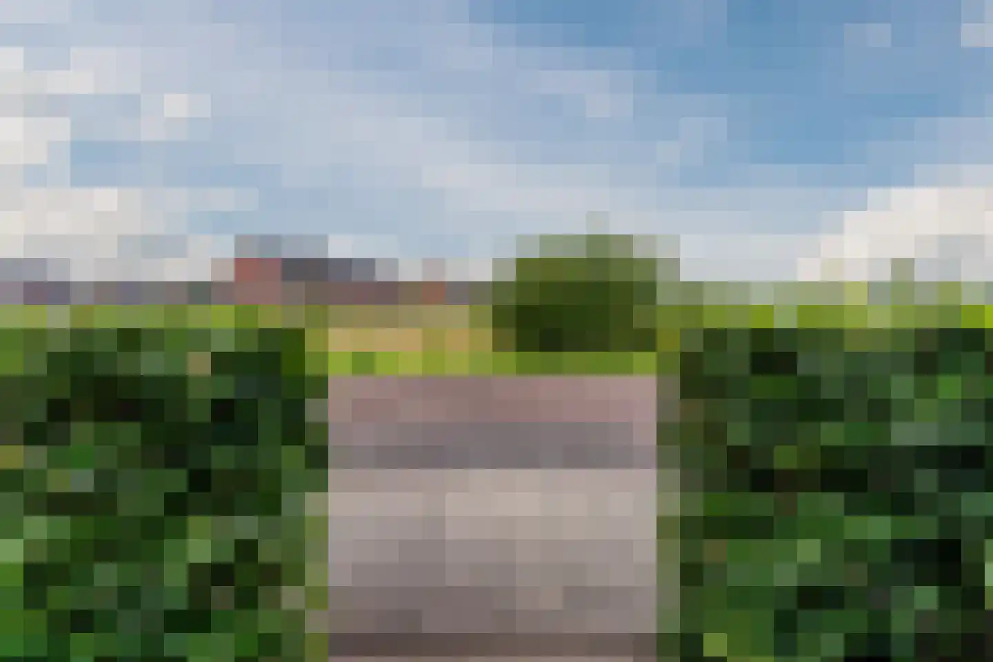 Dagpauwoog 50 Nieuwleusen thumbnail 4