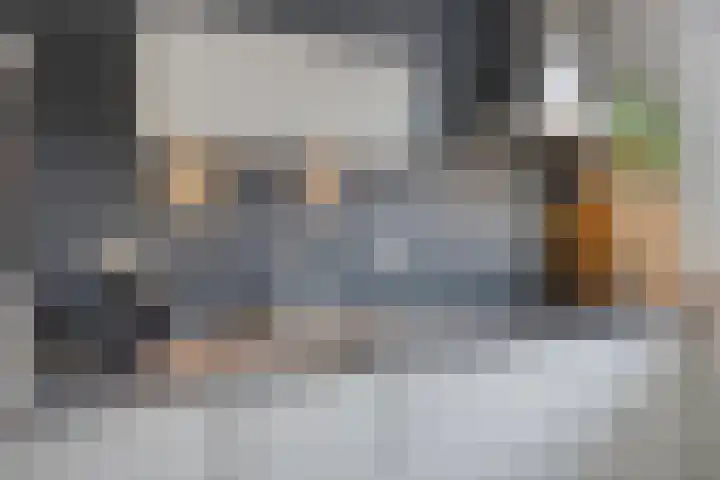 Dagpauwoog 52 Someren thumbnail 15