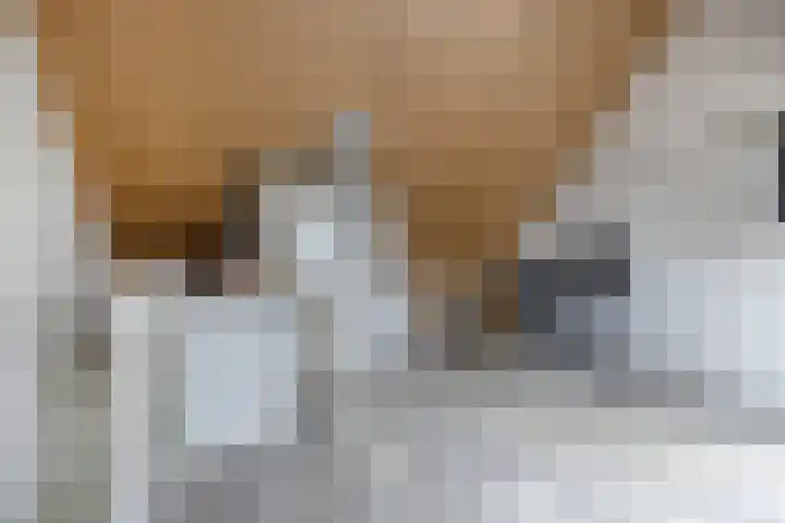 Dagpauwoog 52 Someren thumbnail 24
