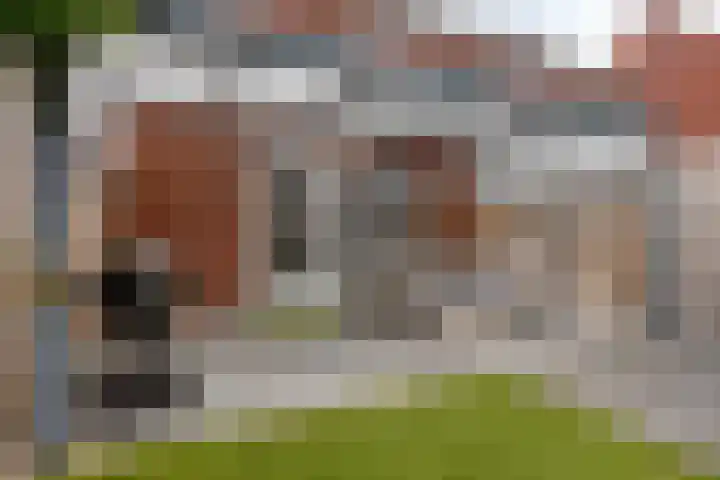 Dagpauwoog 52 Someren thumbnail 27