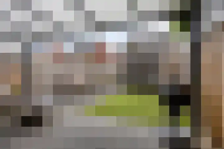 Dagpauwoog 52 Someren thumbnail 28