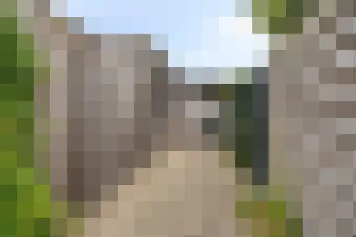 Dagpauwoog 52 Someren thumbnail 30