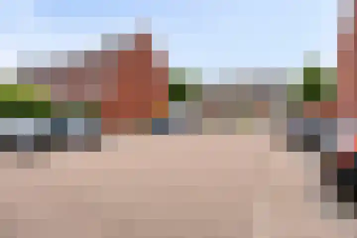 Dagpauwoog 52 Someren thumbnail 31