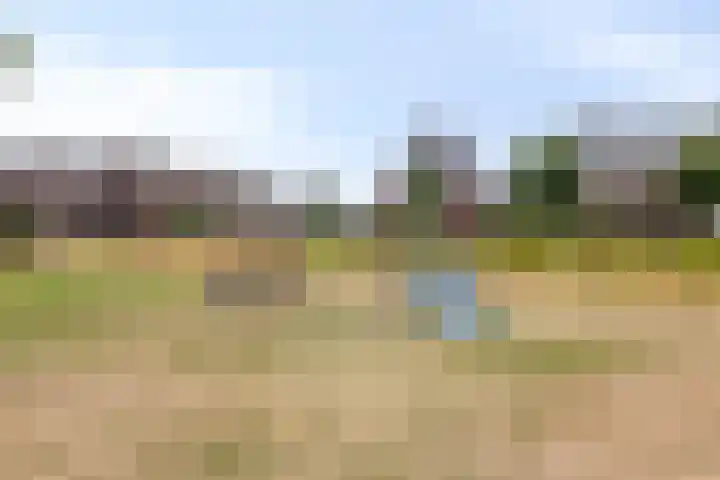 Dagpauwoog 52 Someren thumbnail 32