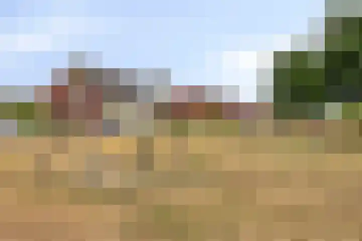 Dagpauwoog 52 Someren thumbnail 33
