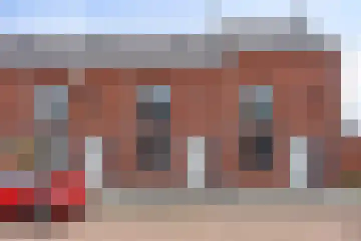 Dagpauwoog 52 Someren thumbnail 38