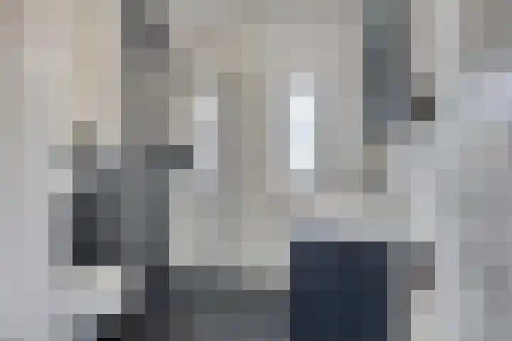 Dagpauwoog 52 Someren thumbnail 4