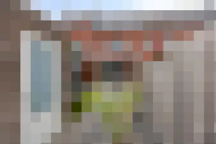 Dagpauwoog 52 Someren thumbnail 5