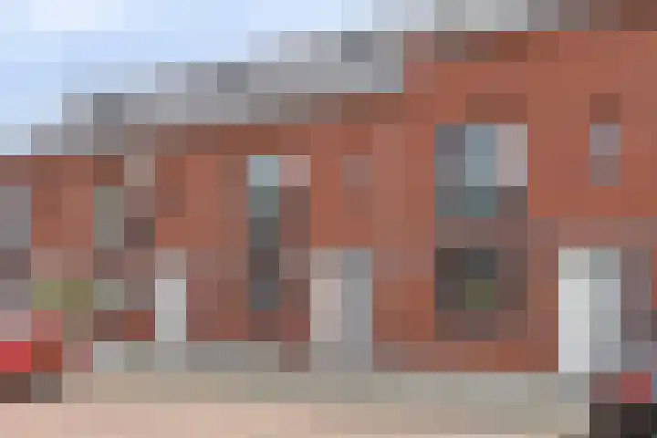 Dagpauwoog 52 Someren thumbnail 6