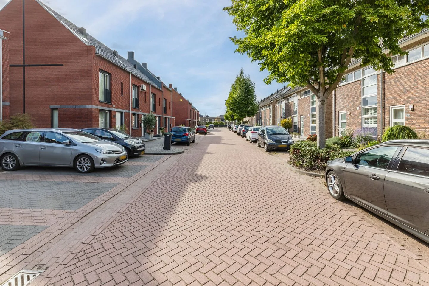 Dagpauwoog 54 Someren thumbnail 60