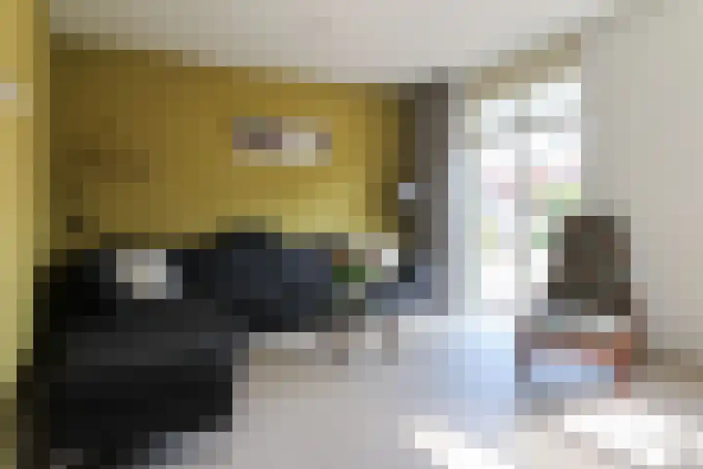 Dagpauwoog 56 Sneek thumbnail 13