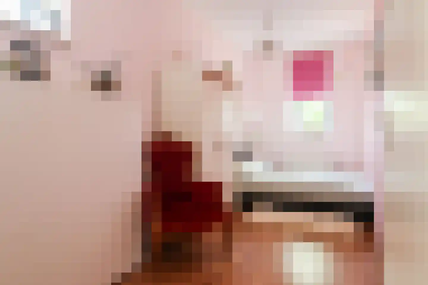 Dagpauwoog 56 Sneek thumbnail 33