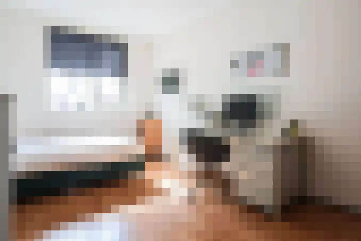 Dagpauwoog 56 Sneek thumbnail 36