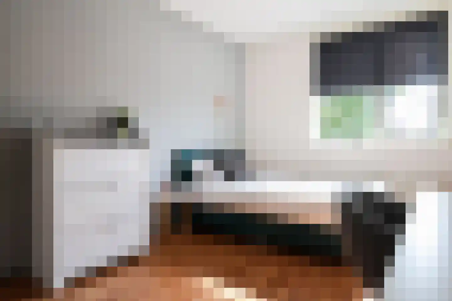 Dagpauwoog 56 Sneek thumbnail 37