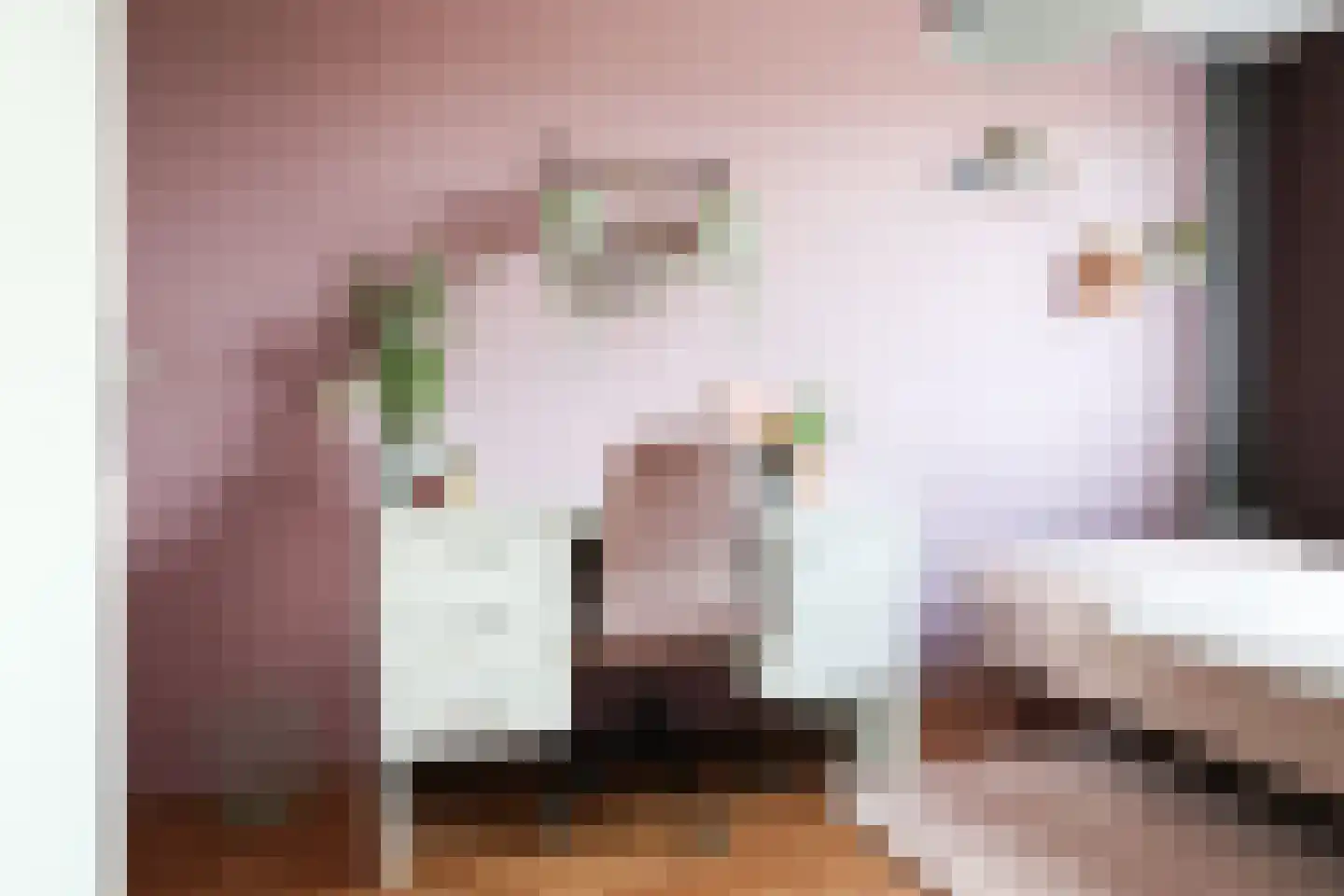 Dagpauwoog 56 Sneek thumbnail 40