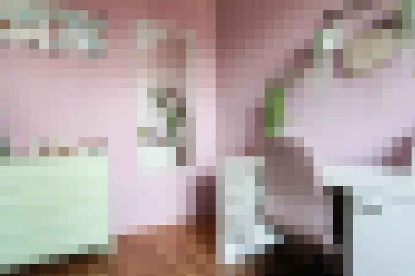 Dagpauwoog 56 Sneek thumbnail 42