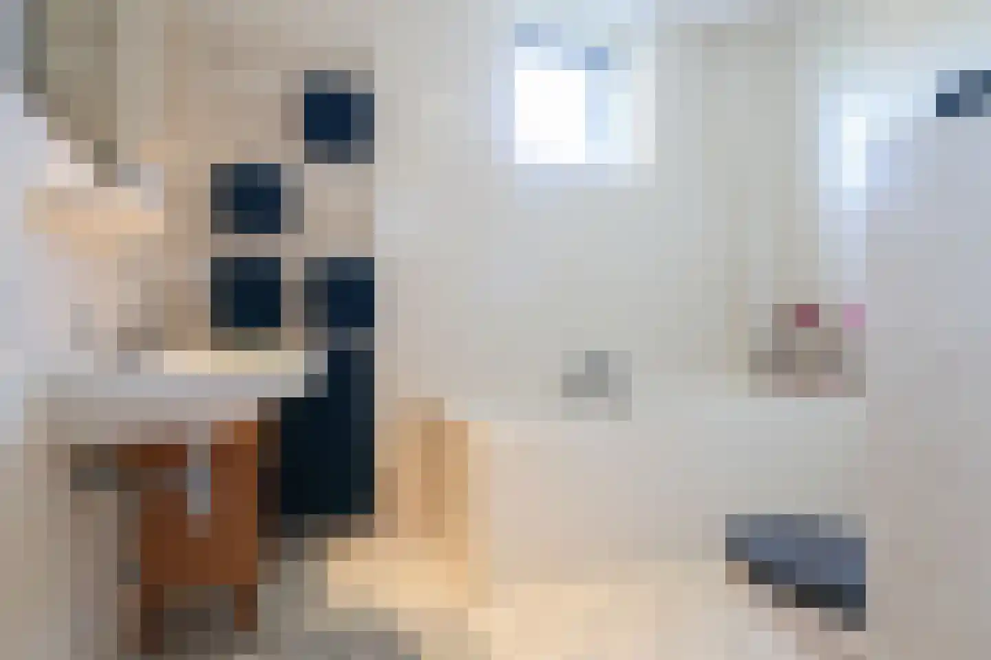Dagpauwoog 56 Sneek thumbnail 44