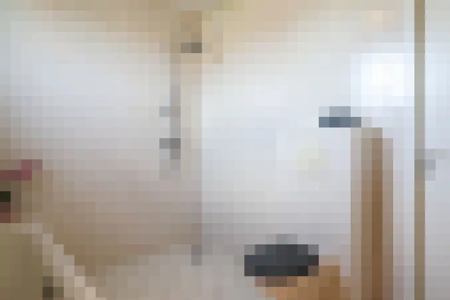 Dagpauwoog 56 Sneek thumbnail 46