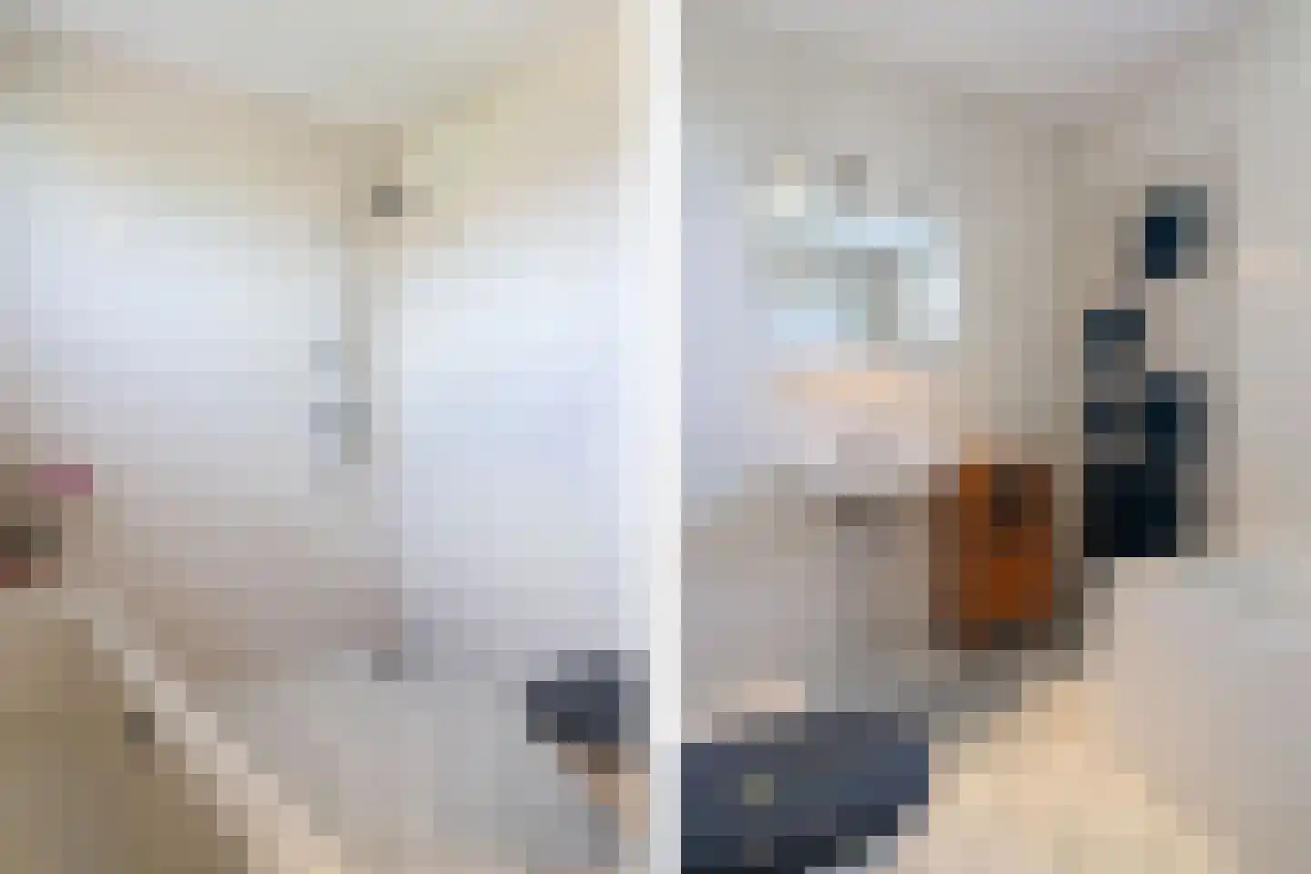 Dagpauwoog 56 Sneek thumbnail 47