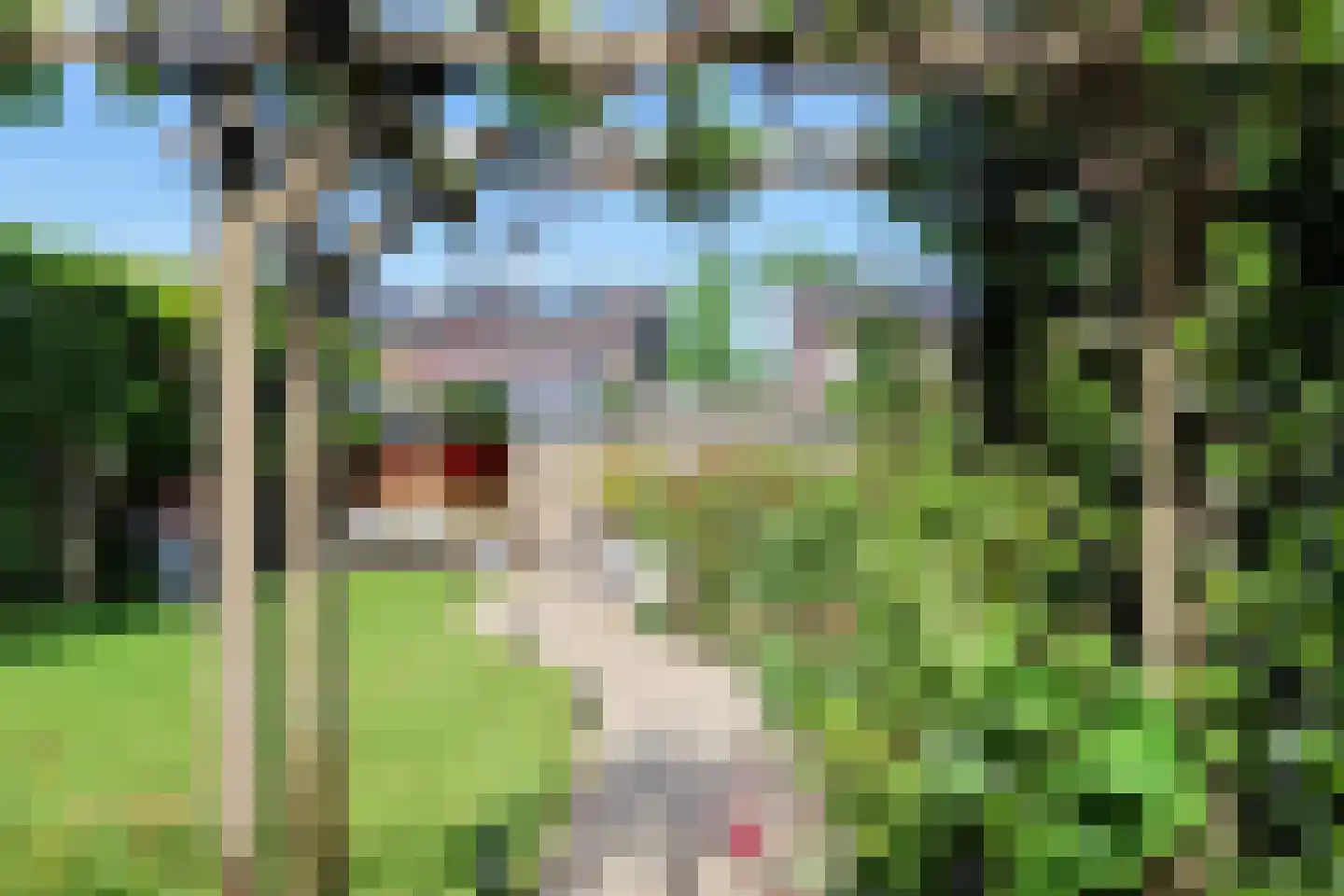 Dagpauwoog 56 Sneek thumbnail 59