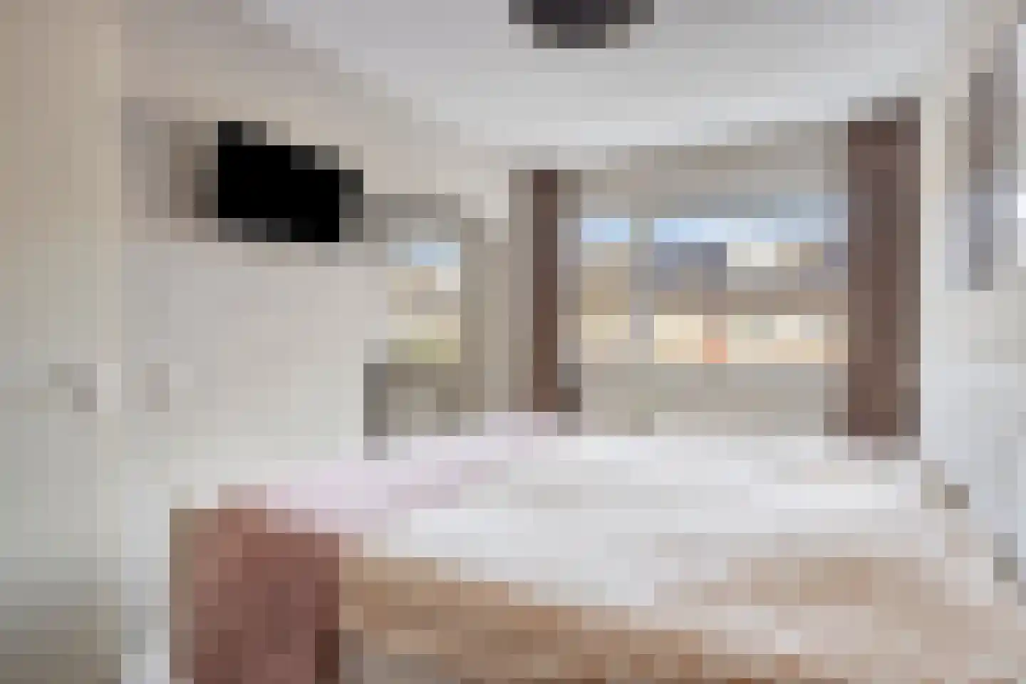 Dagpauwoog 59 Someren thumbnail 15