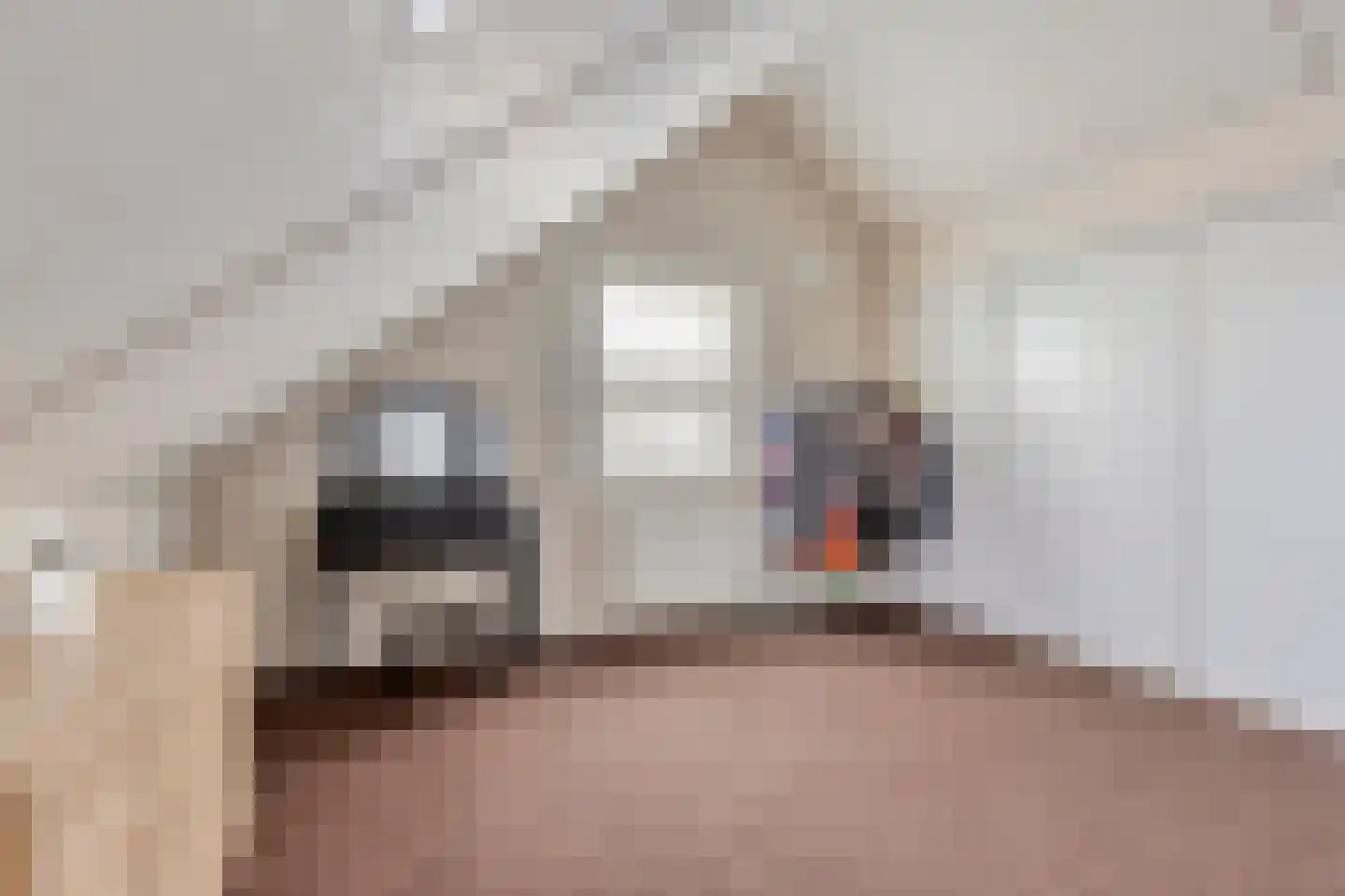 Dagpauwoog 59 Someren thumbnail 25