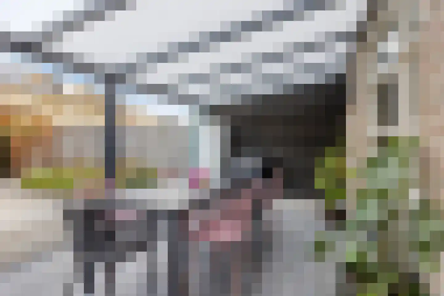Dagpauwoog 59 Someren thumbnail 26