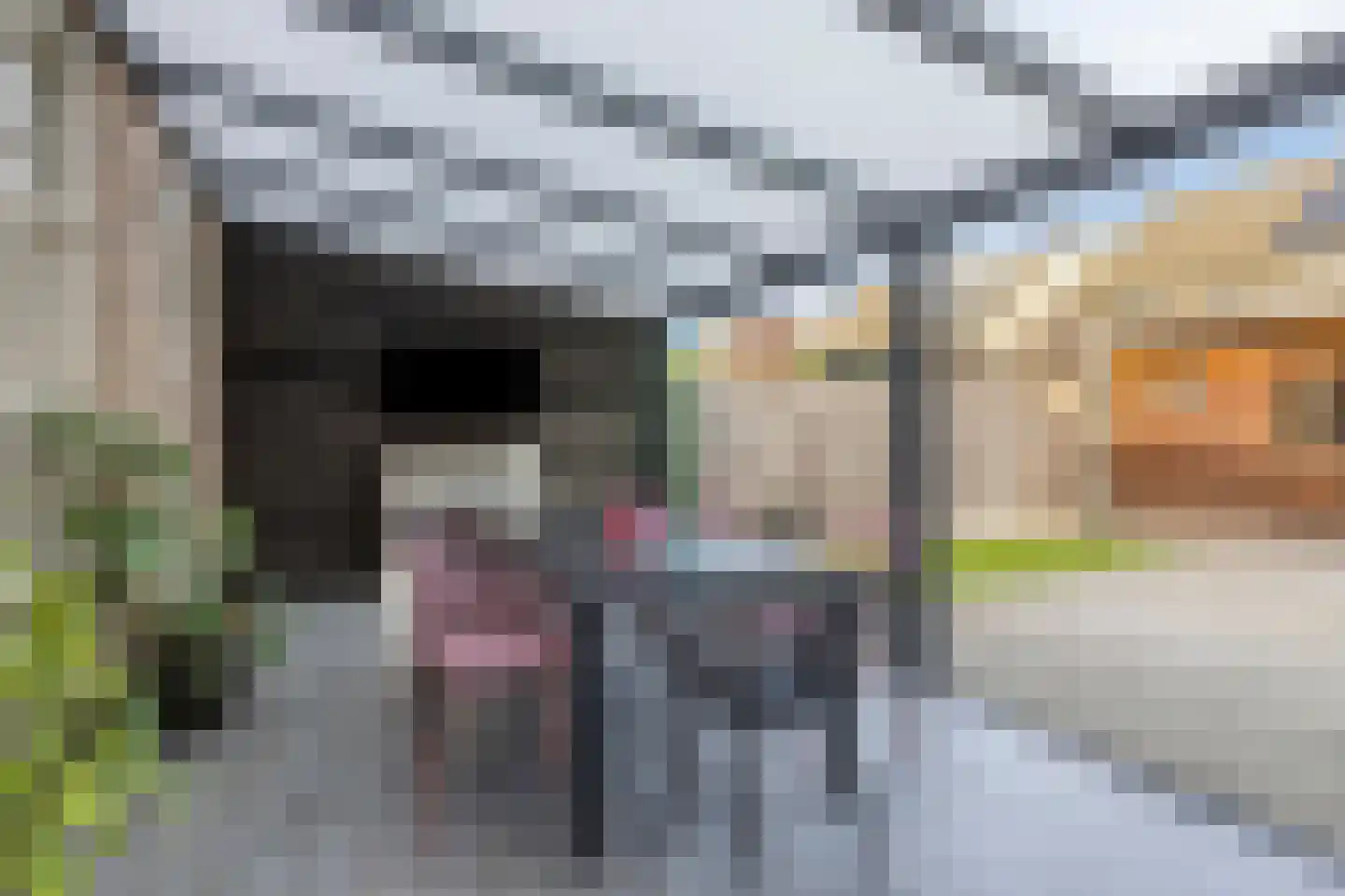 Dagpauwoog 59 Someren thumbnail 27