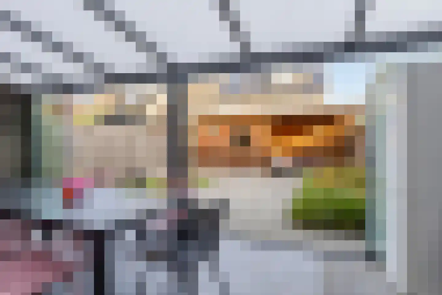 Dagpauwoog 59 Someren thumbnail 28