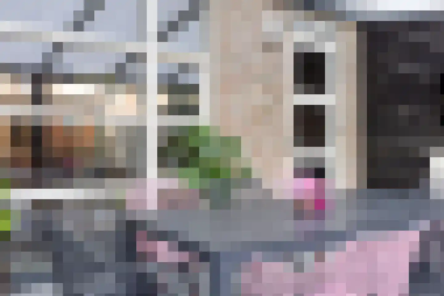 Dagpauwoog 59 Someren thumbnail 29