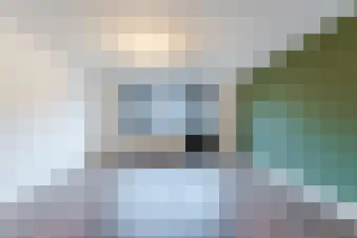 Dagpauwoog 6 Nijkerk thumbnail 10