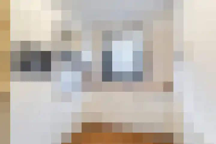 Dagpauwoog 6 Nijkerk thumbnail 12
