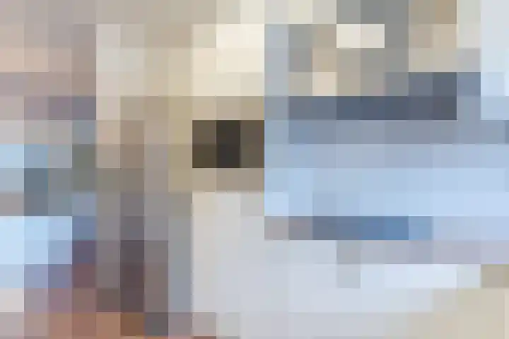 Dagpauwoog 6 Nijkerk thumbnail 14