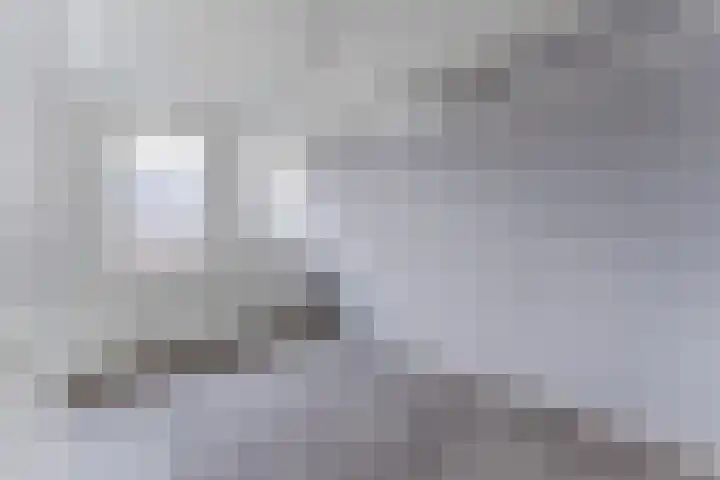 Dagpauwoog 6 Nijkerk thumbnail 19