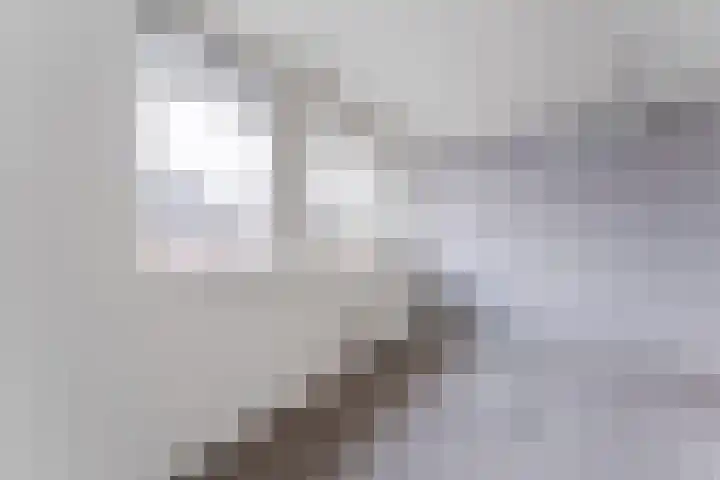 Dagpauwoog 6 Nijkerk thumbnail 22