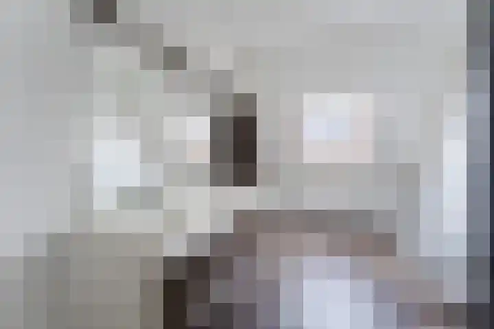 Dagpauwoog 6 Nijkerk thumbnail 24