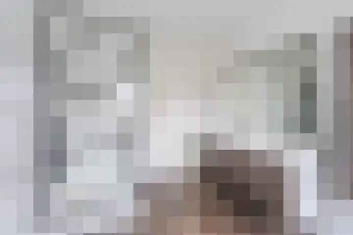 Dagpauwoog 6 Nijkerk thumbnail 25