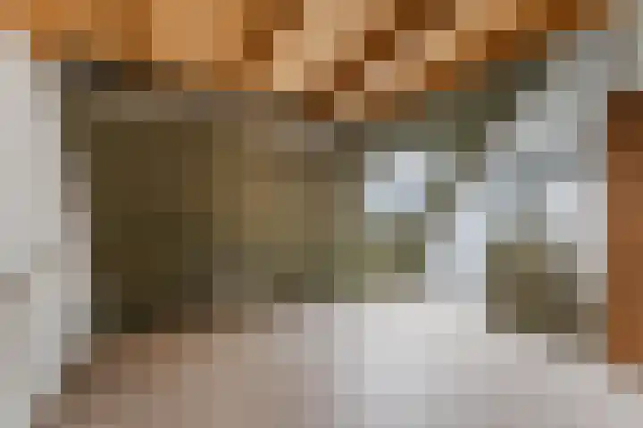 Dagpauwoog 6 Nijkerk thumbnail 30